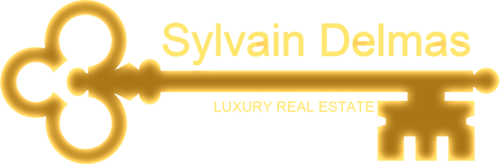 Sylvain delmas logo or